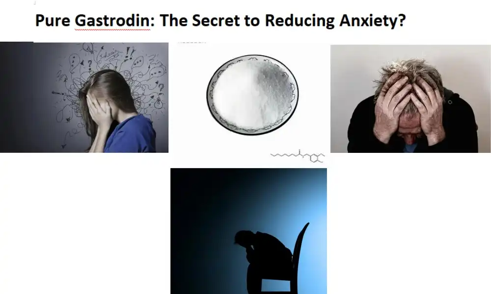 Pure Gastrodin: The Secret to Reducing Anxiety?